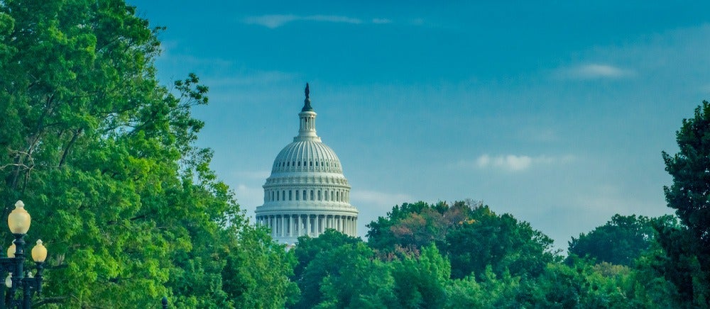 The United States Capitol building