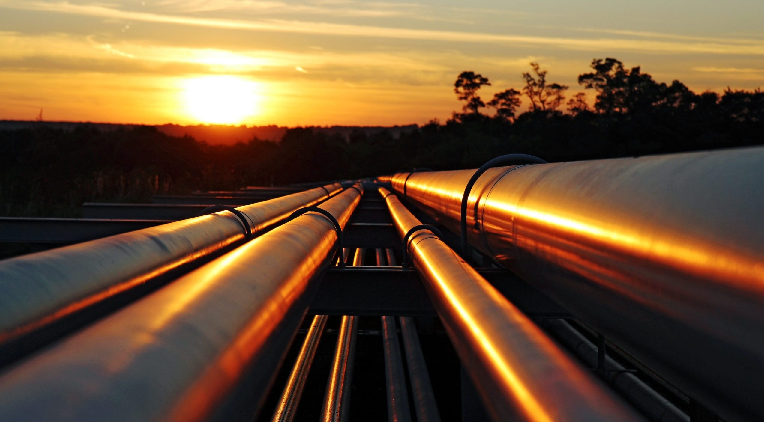 golden crude pipelines
