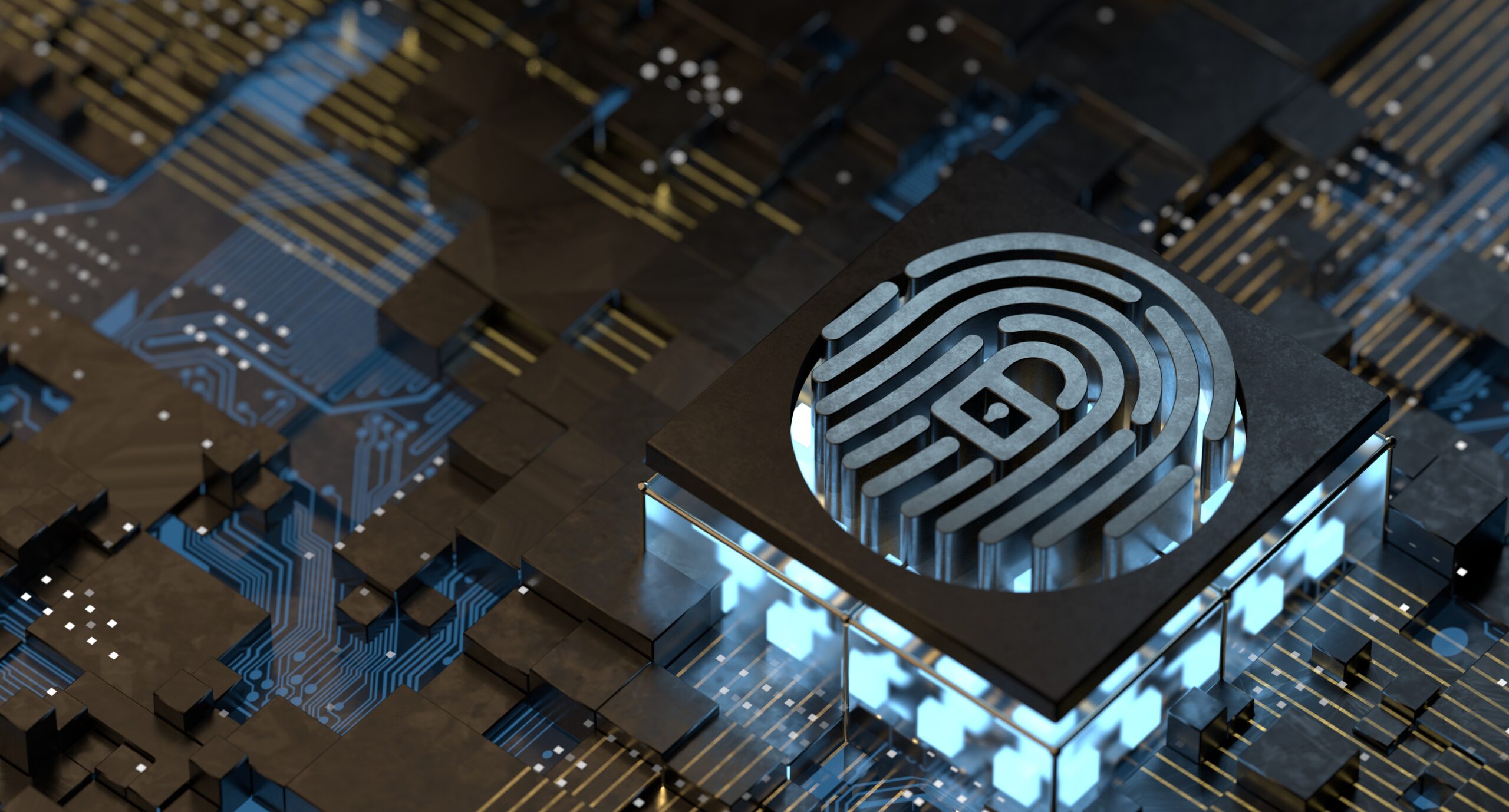 Cybersecurity Information Technology. Fingerprint protecting pri