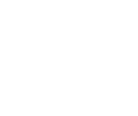 The New York Times Logo