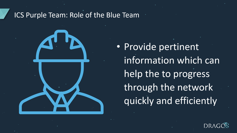 The role of the Blue Team