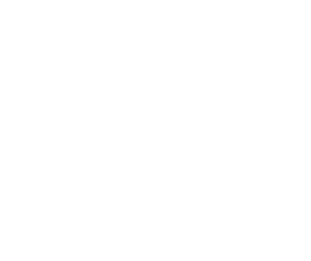 United States Congress Logo