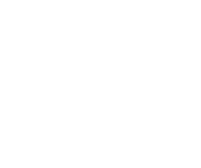 The Wall Street Journal Logo