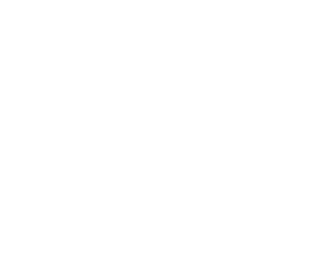 The Washington Post Logo